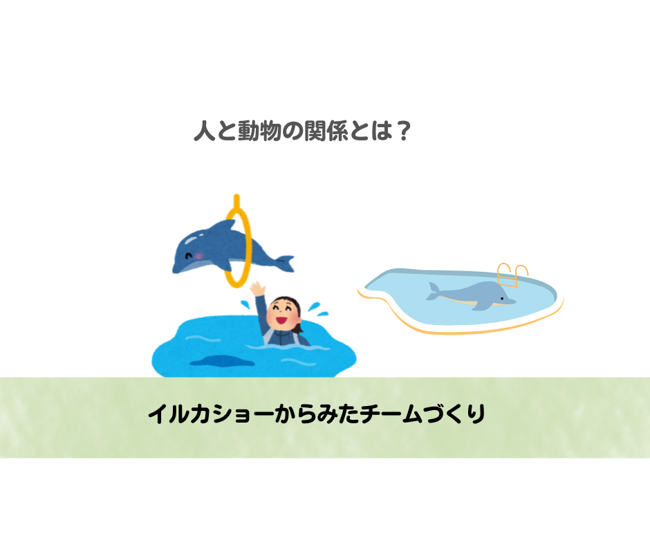 イルカショーからみたチームづくり「水族館は未来を映すミラー」