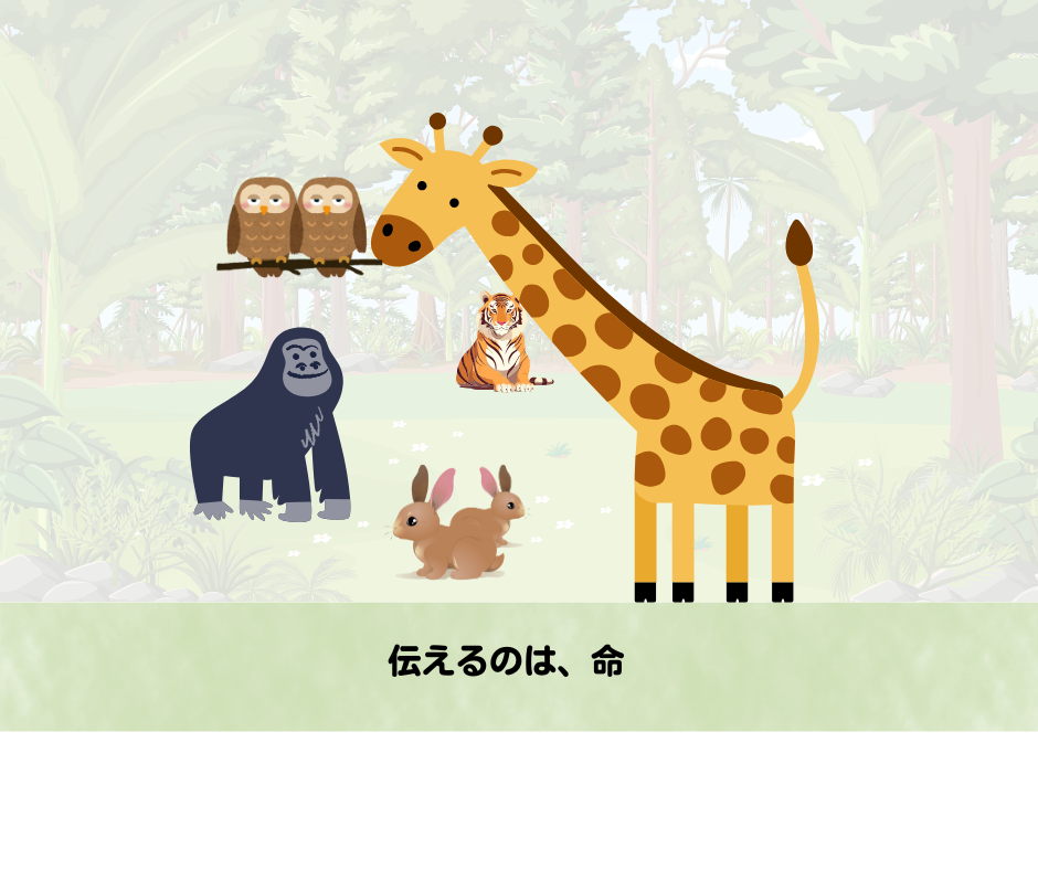 旭山動物園の魅力とは
